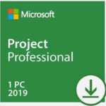 Project Professional 2019 Retail Key 2 PC