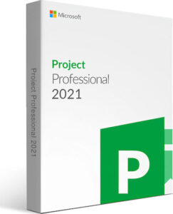 Project Professional 2021