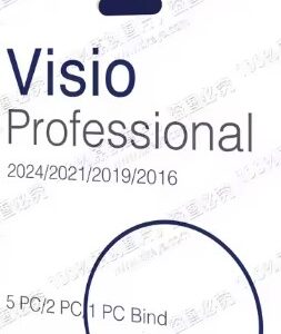 Visio Pro 2024