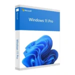 Windows 11/10 Pro OEM Key 1 PC