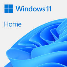 Windows 11/10 Home Retail Key 5 PC