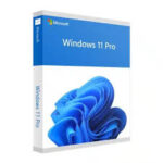 Windows 11/10 Pro Retail Key 5 PC