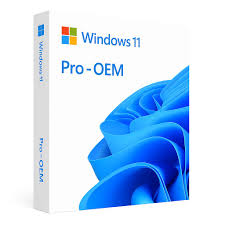 Windows 11/10 Pro Education OEM Key 1 PC